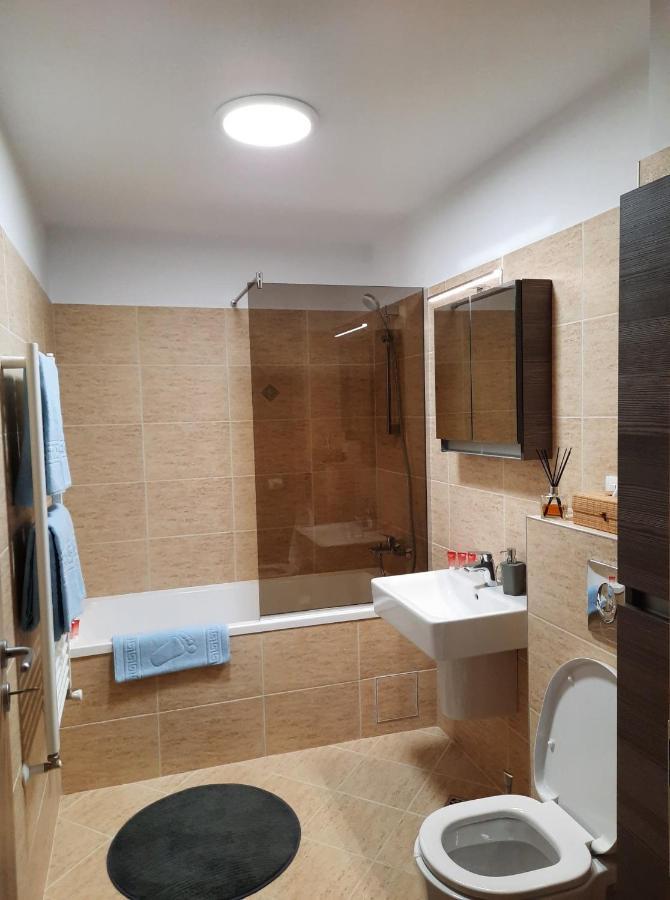 Sorin'S Comfortable Apartment บราชอฟ ภายนอก รูปภาพ